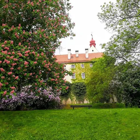 Lev I Sova アパートホテル Mělník