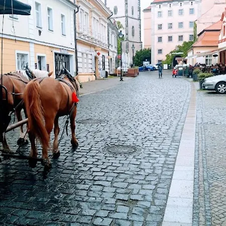Appart hôtel Lev I Sova *