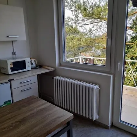 Apartmanhotel Lev I Sova