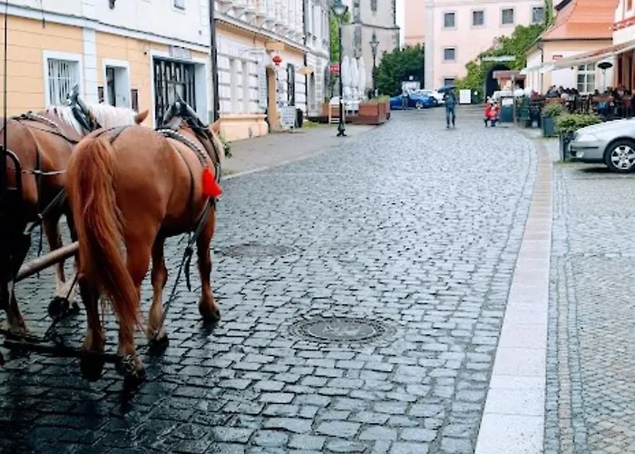 Hotel apartamentowy Lev I Sova 3*