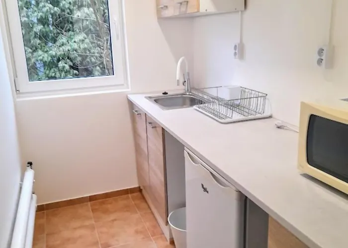 Lev I Sova Апарт-отель Мельник