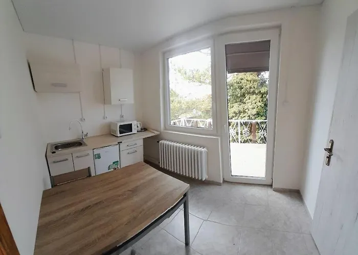 Hotel apartamentowy Lev I Sova