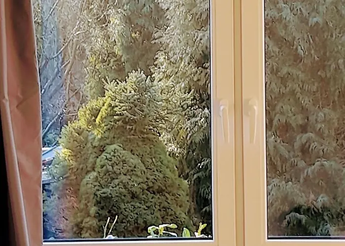 Lev I Sova Мельник