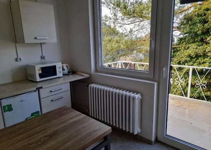 Hotel apartamentowy Lev I Sova