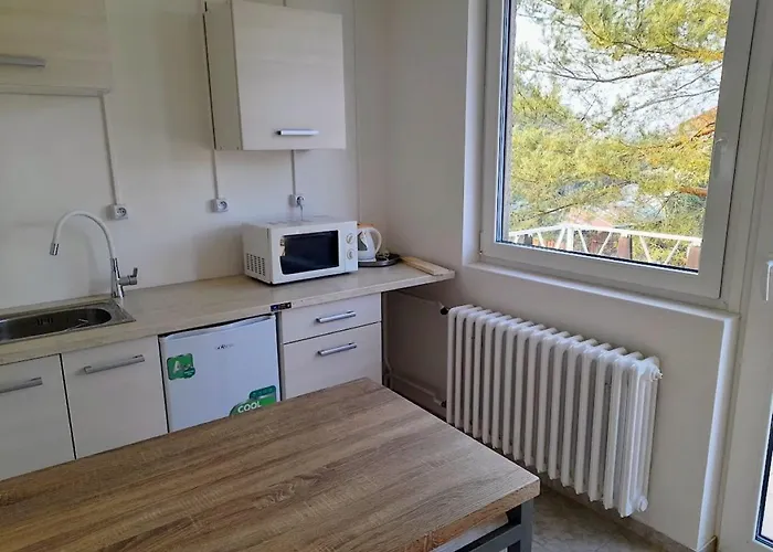 Hotel apartamentowy Lev I Sova 3*